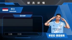 买了个前锋??7000万赖因德斯集锦来了！米兰球迷介绍介绍？