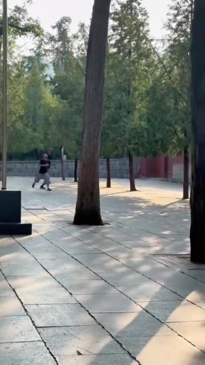 修行倒计时?“第一高僧”文班亚马又被拍到清晨在少林寺跑步