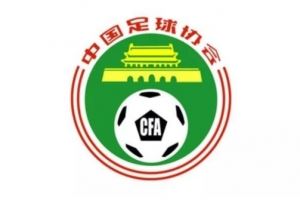 足协举行社会监督员一周年总结会，41名监督员参与监督238人次